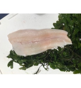 heilbotfilets zonder vel (200 gram)